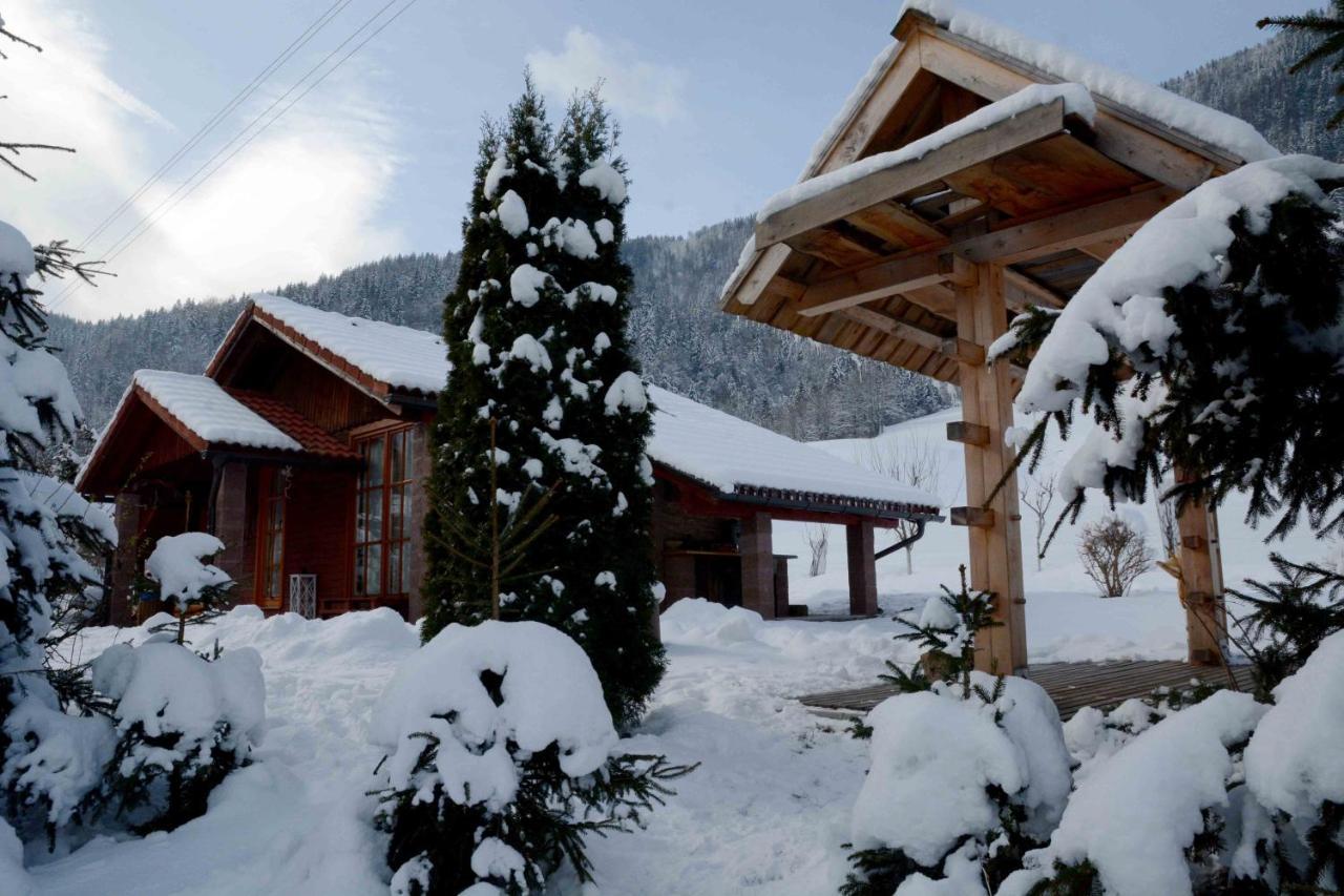 Studio Alpika Villa Luče Eksteriør billede