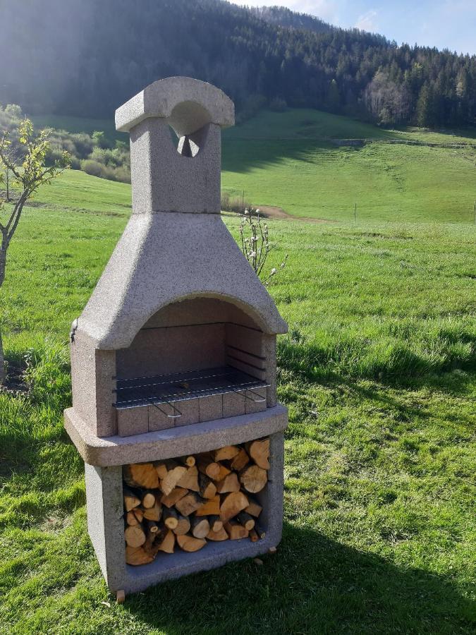 Studio Alpika Villa Luče Eksteriør billede