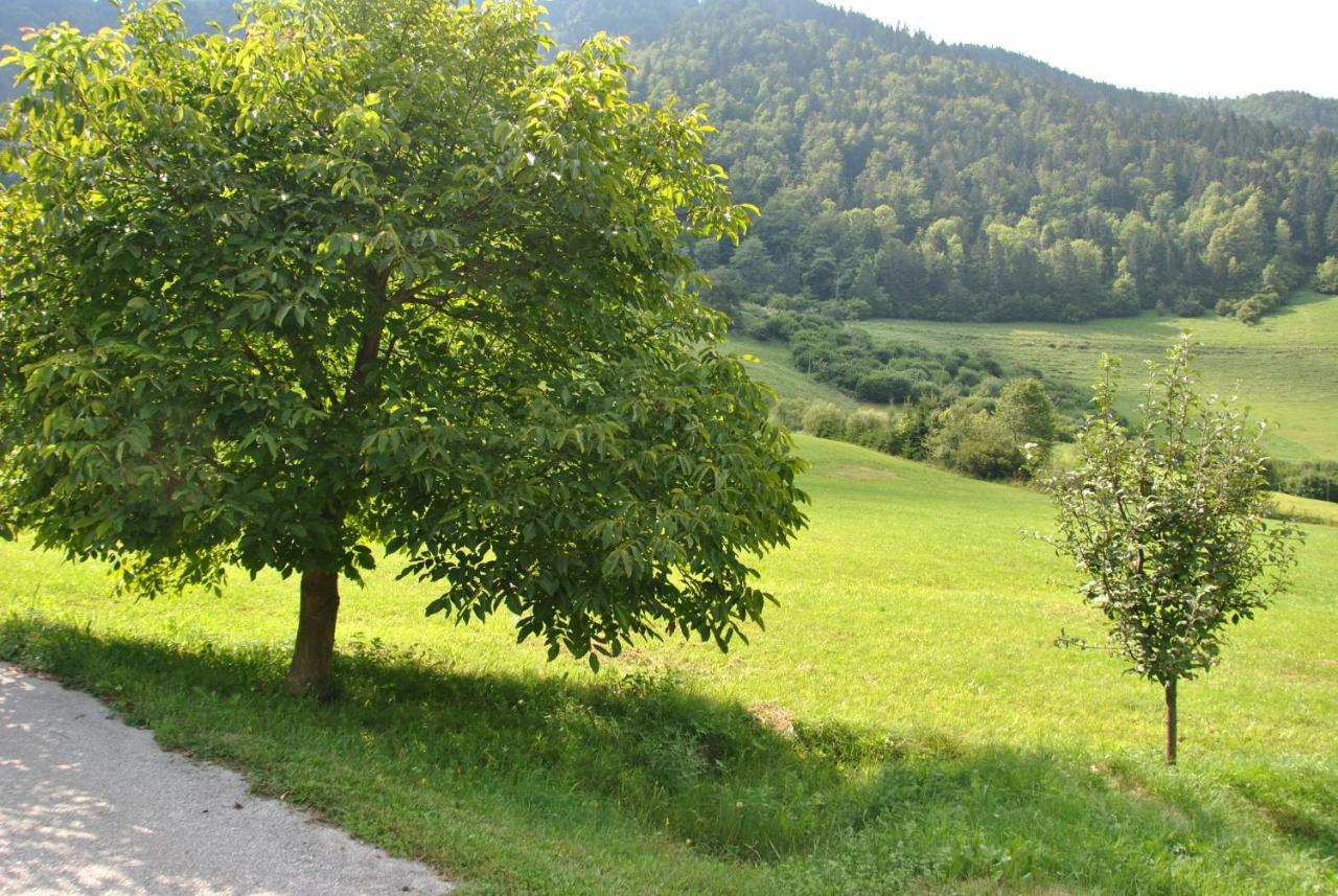 Studio Alpika Villa Luče Eksteriør billede