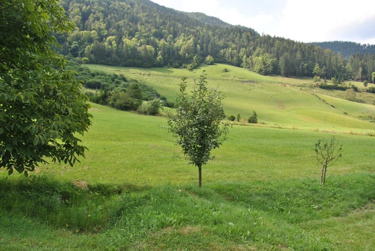 Studio Alpika Villa Luče Eksteriør billede