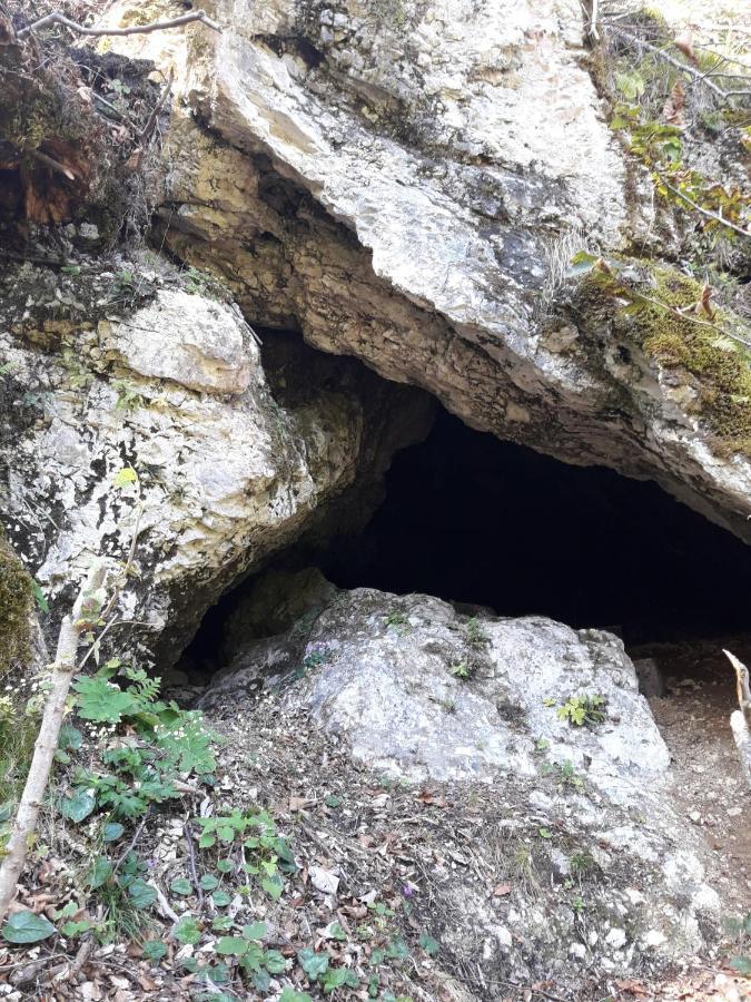 Studio Alpika Villa Luče Eksteriør billede